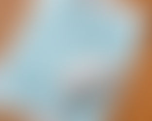 📝ペットが旅立った後…残ったフード、シーツ、お薬はどうする?