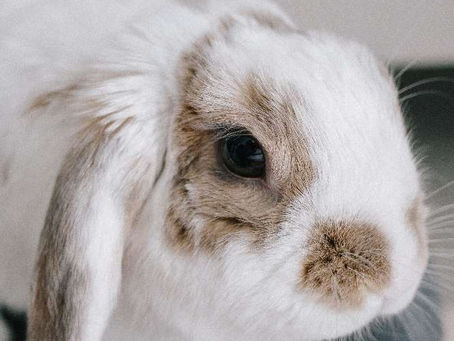 ใ้ๅญฆใ๐ฐใใใใฎใใใใใใ็
ๆฐ๏ผ้ฃๆปใจใฏ๏ผ