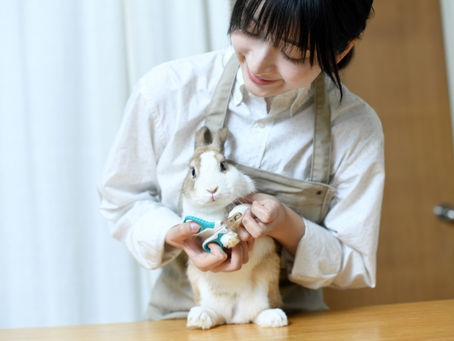 ใ้ๅญฆใ๐ฐใใใใฎ็ชๅใใใใฉใใทใณใฐใซๆๆฆใใฆใฟใใ๏ผ