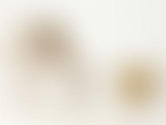 📝ペット火葬にかかる時間