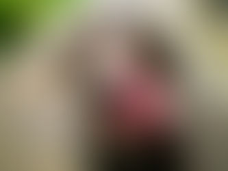 ใ้ๅญฆใ๐ถ่็ฌใซในใผใใไฝใ๏ผใกใชใใใจๆณจๆ็น