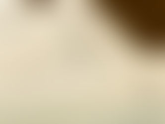 📝うちの子が12月に旅立った場合、喪中はがきはどうすればいい?