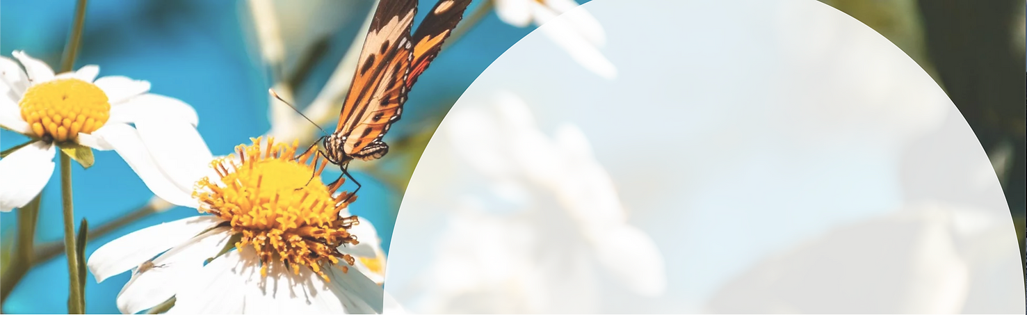 Screen Shot 2020-06-24 at 9.24.07 PM.png