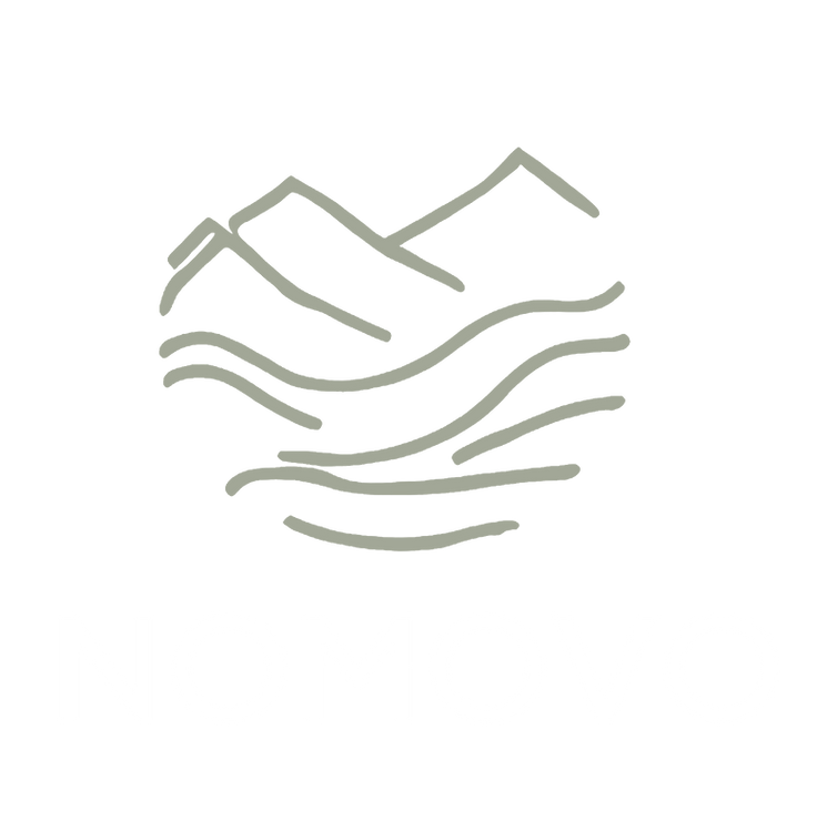 nmovo-log1.3.png