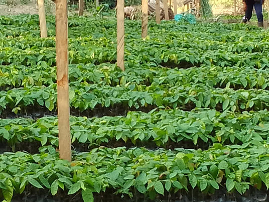 WhatsApp Image 2026-01-27 at 21.49.31.jpeg