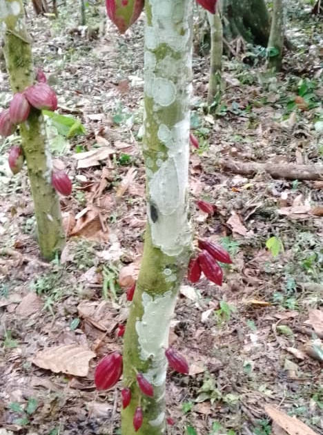 WhatsApp Image 2022-12-27 at 10.19.12.jpeg