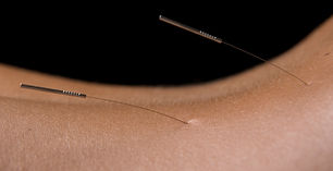 back_300ppi_A4_24.jpg