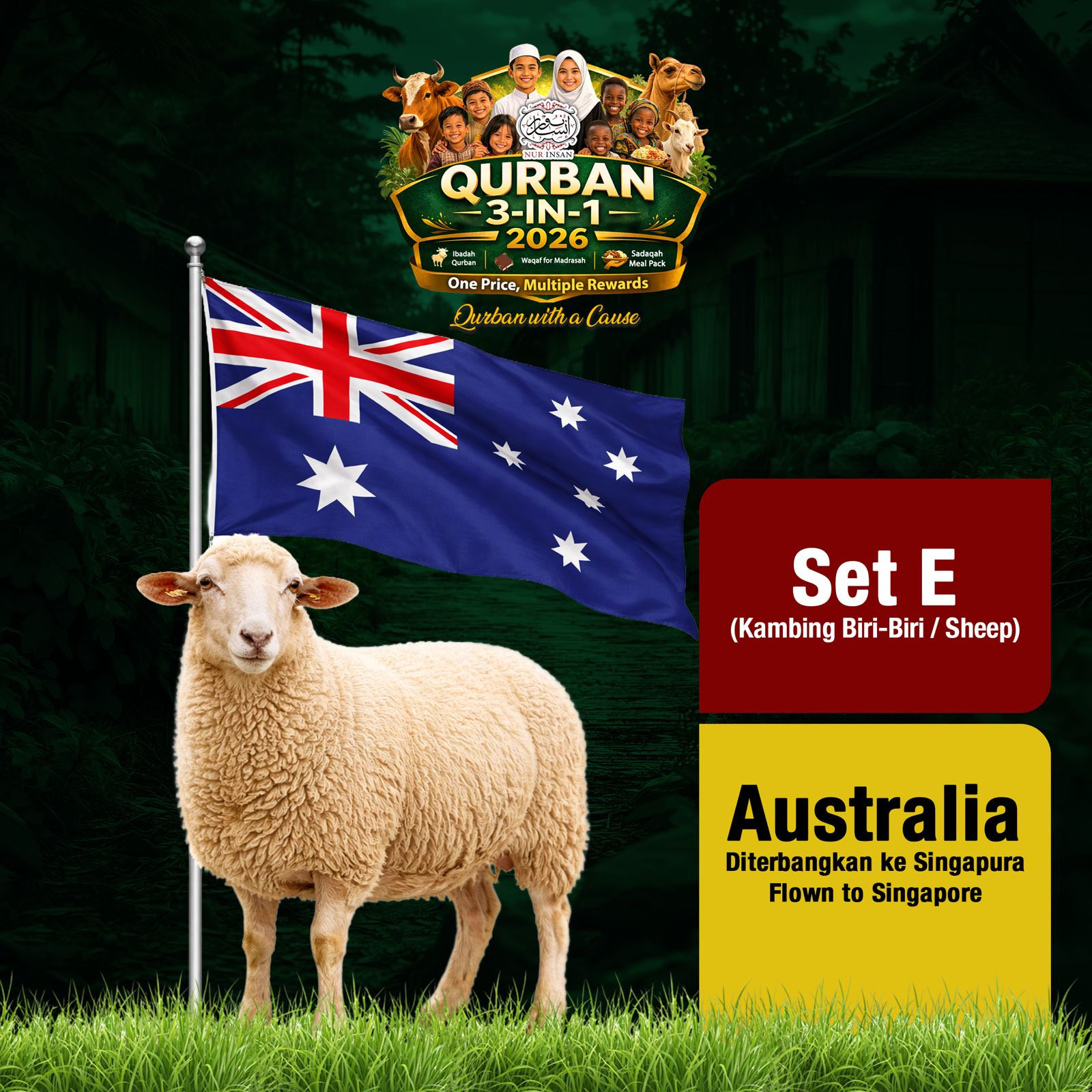 QURBAN SET E (Sheep) - The meat will be air-flown to Singapore.
