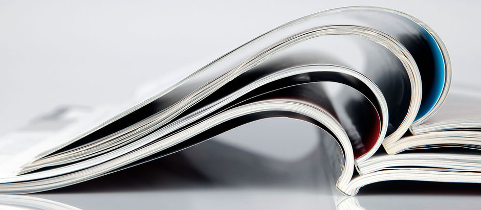 One Year after the Tragic Events in Novi Sad and the Protests in Serbia: Achievements, Failures and Expectations