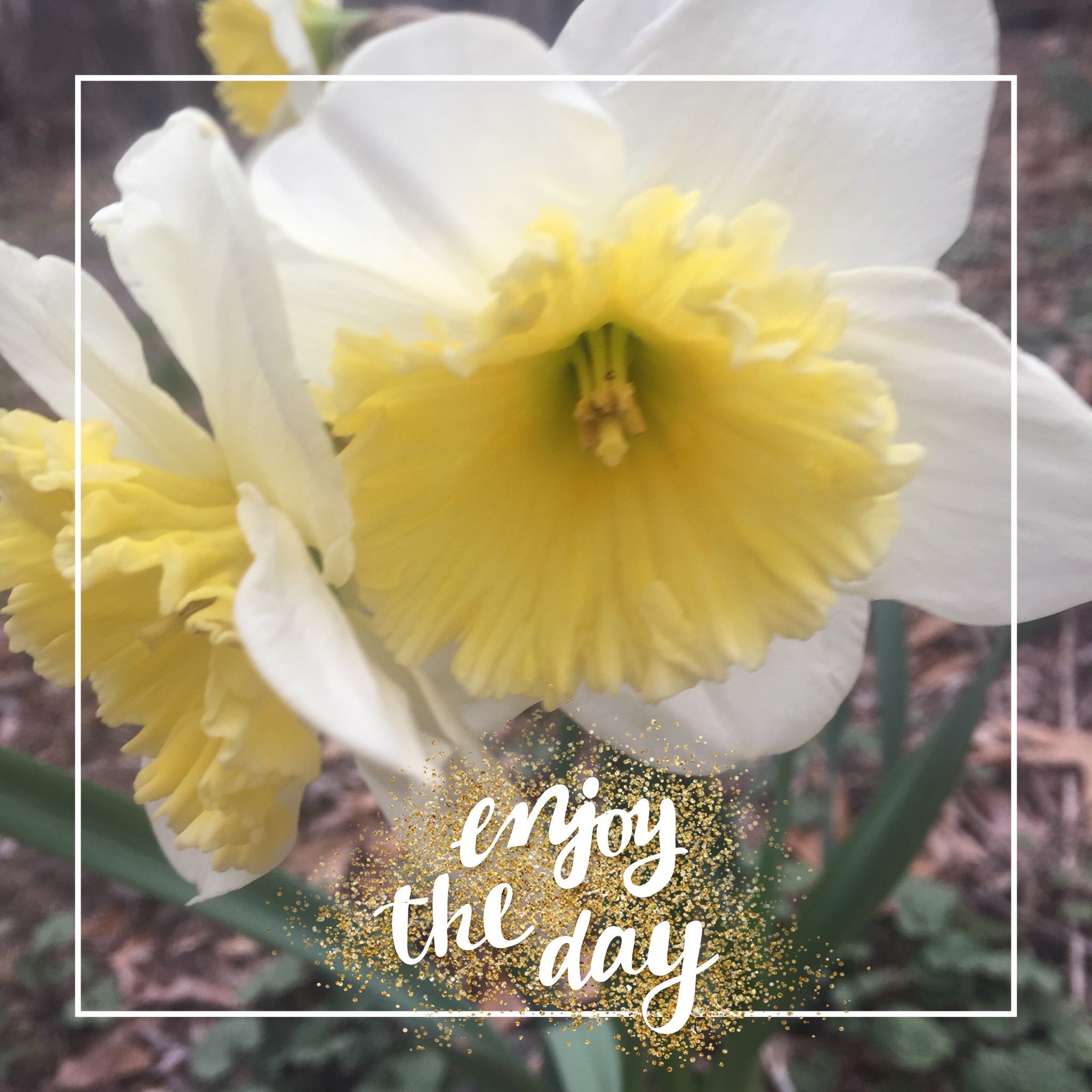 ENJOY THE DAY!