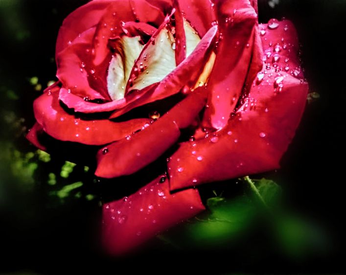 Writer: Conquering Depression