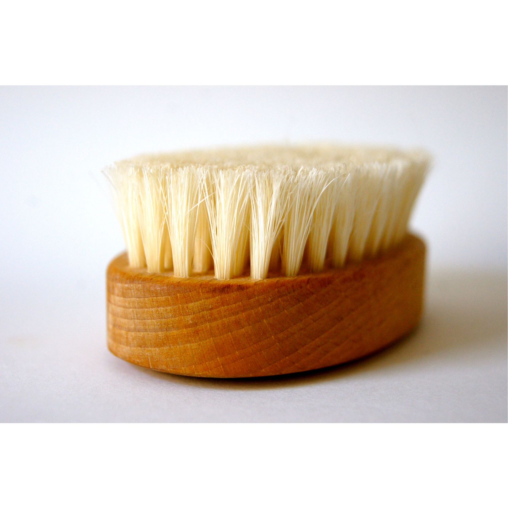 brosse pour brossage à sec