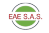 LOGO EAE.png