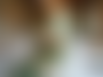 Creating Elegant Weddings with Ti Amo in Torquay