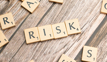 Copy of The Compliance Program diagram (2).png