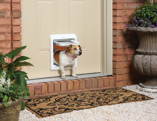 dog-door
