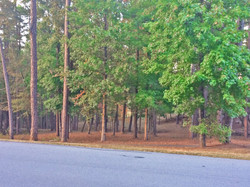 View from street in front of lot