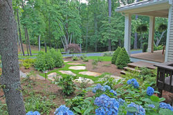 front yard 2