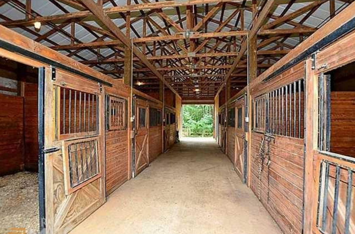 20 Wild Turkey - Horse Farm