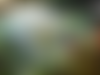 Medieval-Fantasy City Builder Pioneers of Pagonia Launches into Early Access in December 2023