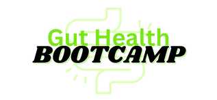 Gut Health BootCamp heal your gut naturally