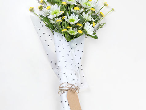 Tips + Herbs for Insomnia