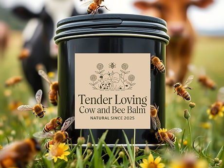 cows and bees around a black tin of tallow and honey balm showing my logo.jpg