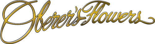 oberers-logo-2018_1541021018__02967.webp