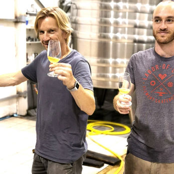 Wine, Global Warming, Facing Challenges of Wineries 