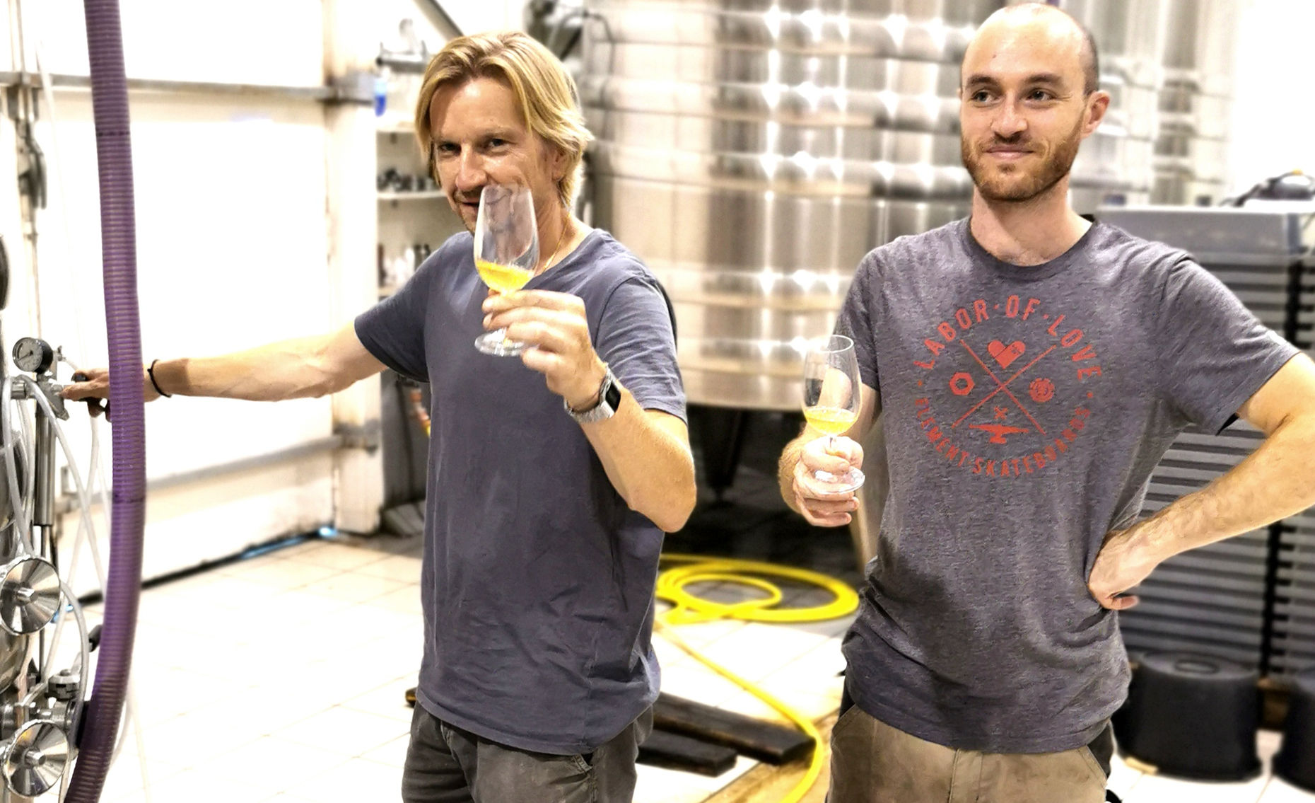 Wine, Global Warming, Facing Challenges of Wineries 