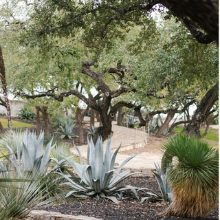 Screen Shot 2022-01-12 at 7.29.47 PM.png