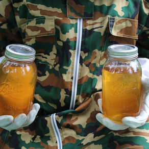 National Honey Bee Day!!!