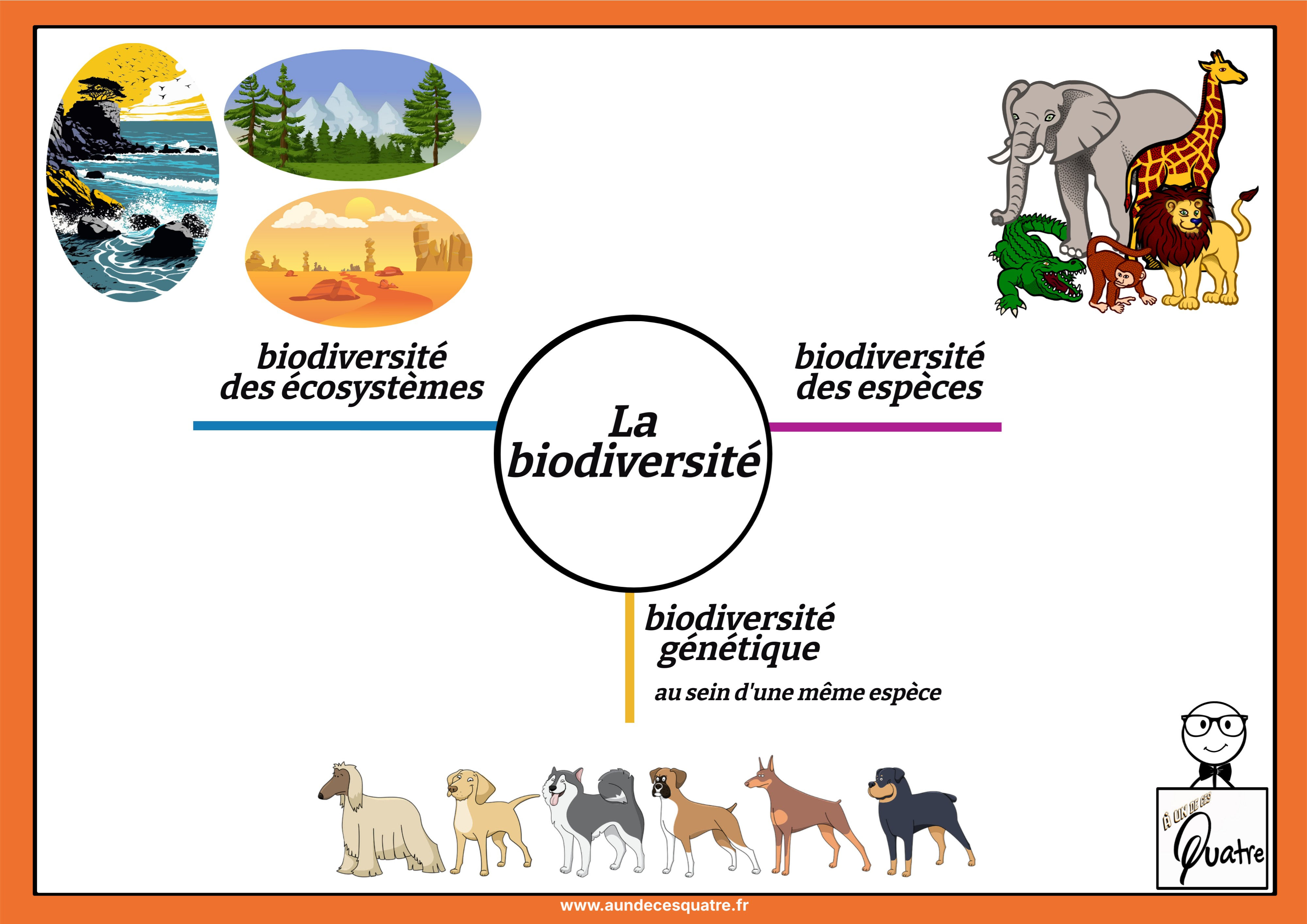 La biodiversité