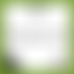 Géographie CP : Les points de vue