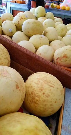 Honeydew