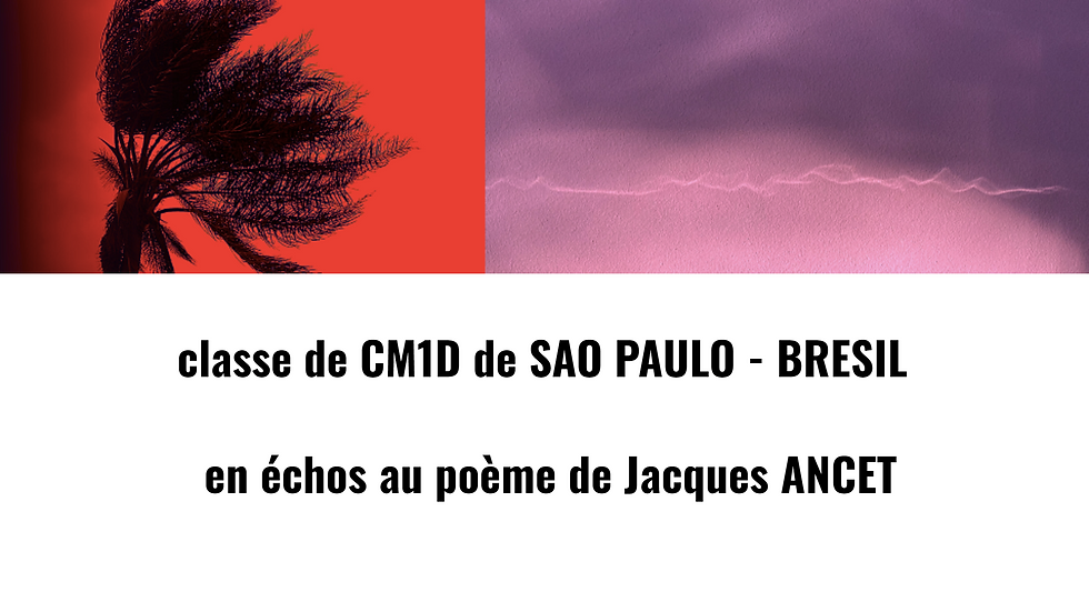 CM1D-SAO PAULO
