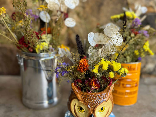 The Ultimate Guide to Dried Flower Care