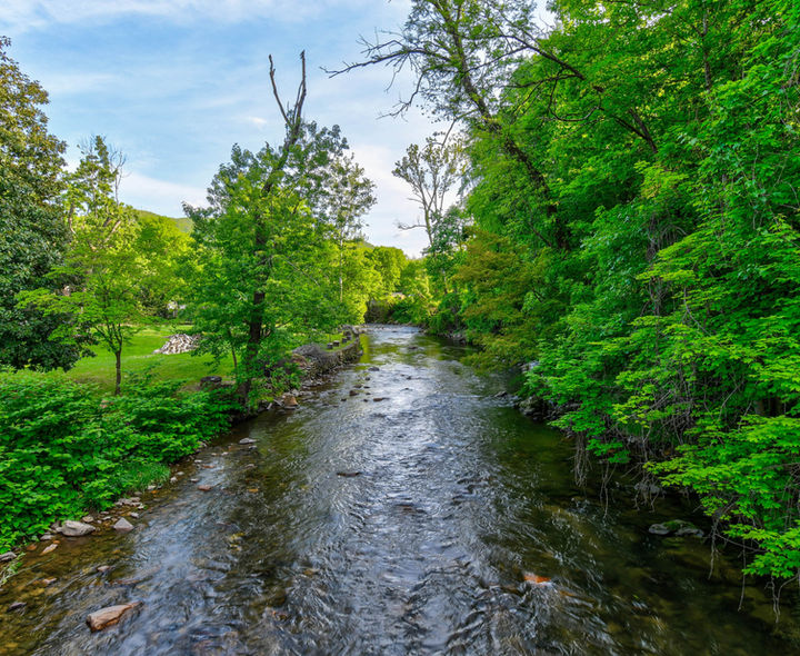 creek near hot springs magnolia house