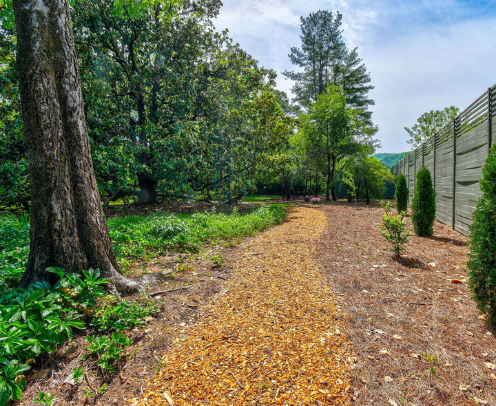 walking trail in the woods