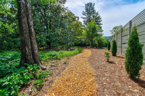 walking trail in the woods