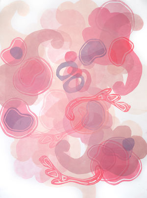 Red Floater Flowers, Red and Purple Pods