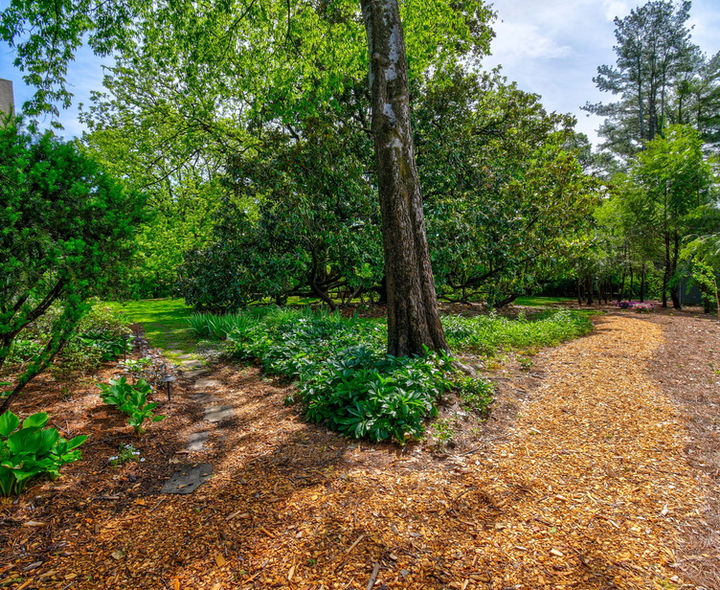 walking trail in the woods