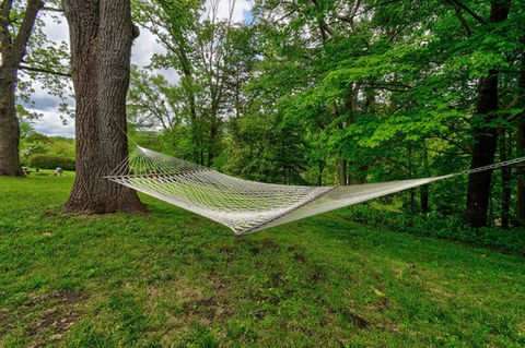 hammock in the quiet hot springs woods