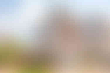 627 N Lake Street Madison WI