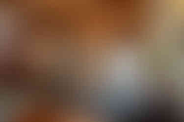 main social space at 644 N Frances