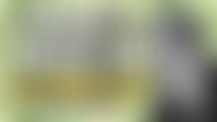 Neville Goddard MONEY Affirmation for Wealth (LISTEN EVERY DAY!) | Meditation – Mantra (30Min