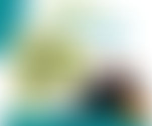 EXCELENCIA EN EL SERVICIO AL CLIENTE