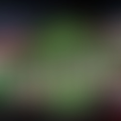 Heritage Lake Life Photobooth at Poker Run featuring Anthony's Pizzeria