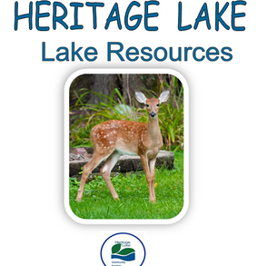 Sign Up to be listed in the HL Directory