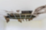 The-ceiling-broke-down-942179148_3869x25